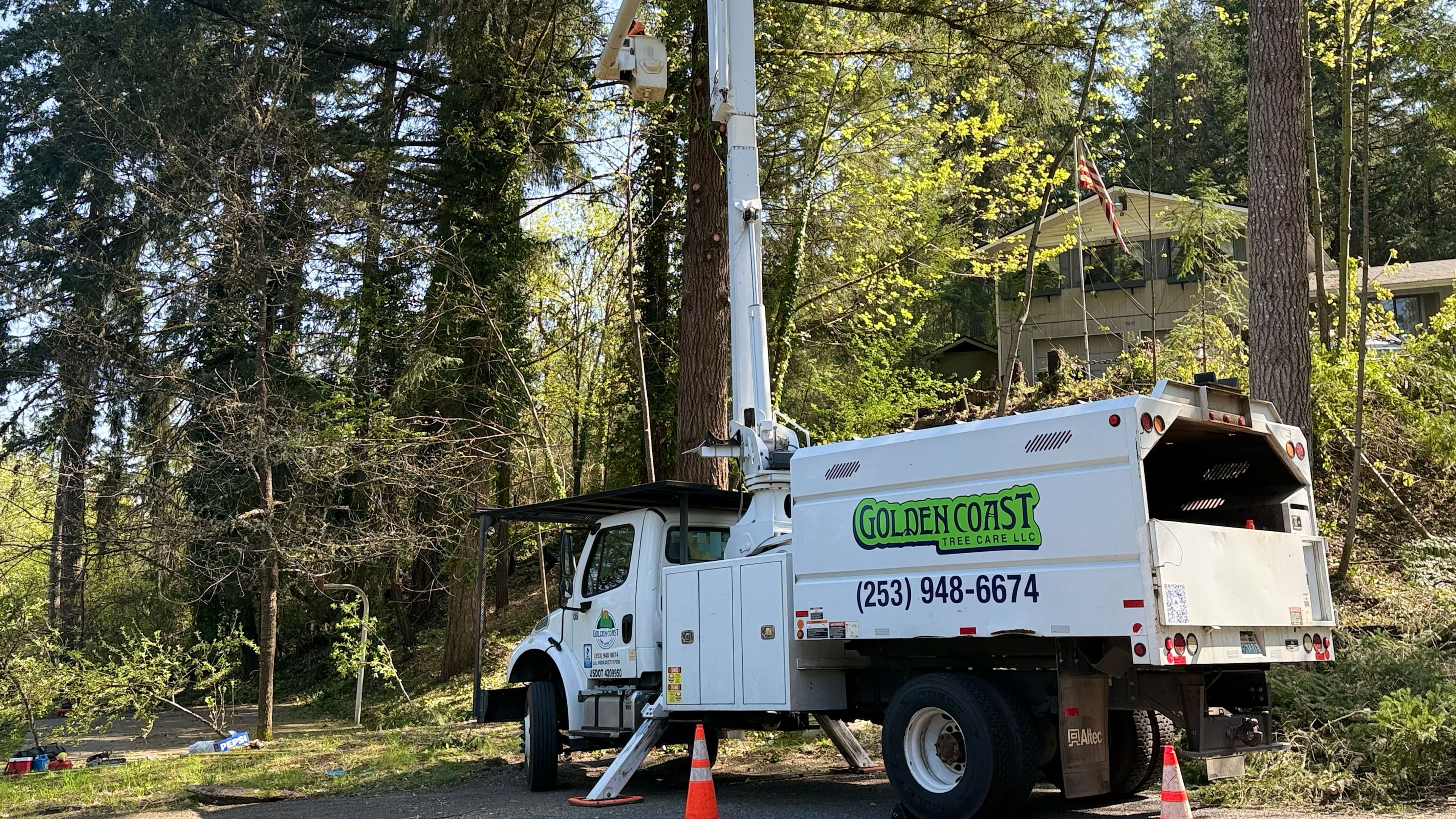 Video thumbnail showing Golden Coast Tree Care work